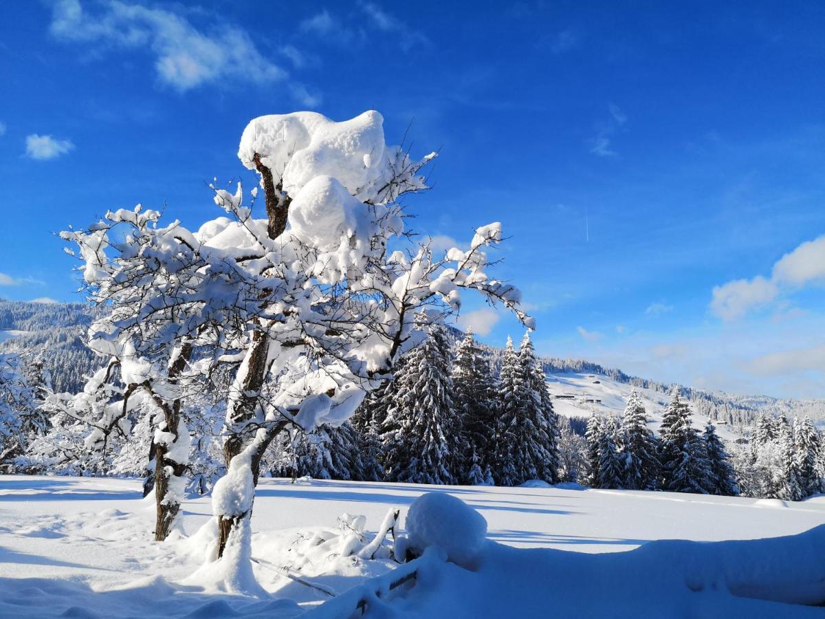 Haus Leo Daire Westendorf Dış mekan fotoğraf